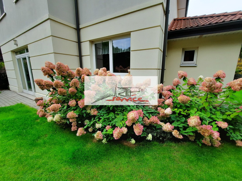 Dom Wynajem Lipków 1