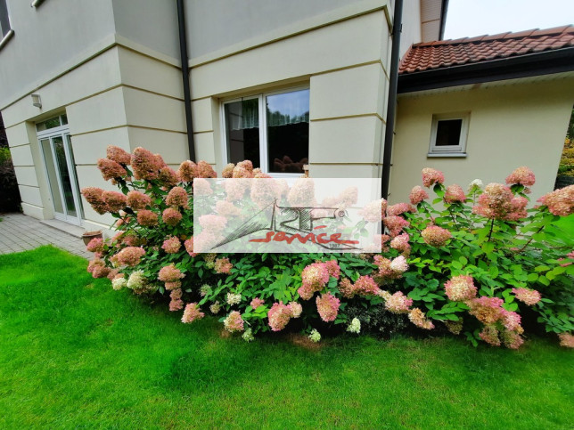 Dom Wynajem Lipków 1